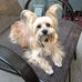 Pamela Wheaton - Facebook