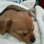 Pamela Works - @workspamela - Instagram