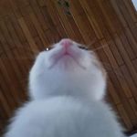 panama (tu puta madre’s version) - @panamaray_ - Instagram