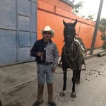 Pancho Daniel - @panchodaniel7 - Instagram