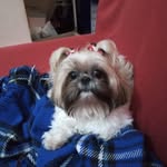 @_pandoraking - Instagram