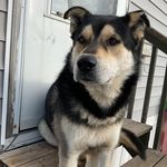 PaNdora King - @pandoraking81 - Instagram