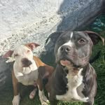 @pandora.scott_pit - Instagram