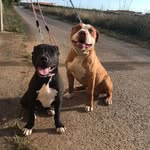 Scott & Pandora🦴 - @scott_pandora_ - Instagram
