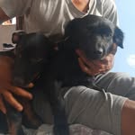 Scott & Pandora - @scott.e.pandora - Instagram