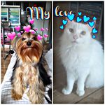 thomas_e_pandora - @thomas_e_pandora - Instagram