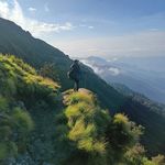Pankaj Bala - @pankaj.bala.773 - Instagram
