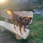 John Pansy Bennett - @pansy.bennettt - Instagram