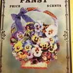 Pansy Densford - @pansydensford - Instagram