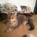 Patsy Jarrell - Facebook