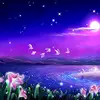John Pansy - @john.pansy - TikTok