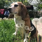 Pansy May - @adventures_of_pansymay - Instagram