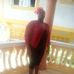 Pansy Orr - Facebook