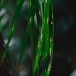 paola boyd - @paola.boyd59 - Instagram