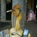 Pape samb - Facebook