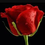 Parag Bhatt - @parag.bhatt.5661 - Instagram