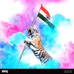 Parag Chandra - @chandra.parag - Instagram