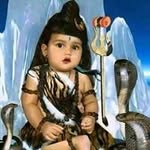 Parag Dave - @parag9671 - Instagram