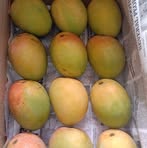 Parag Oak - Facebook