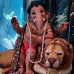 Parag Tembulkar - @paragtembulkar - Instagram