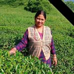 Paramita Dey - Facebook