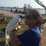 Paramjit Anand - @paramjitanand7 - Instagram