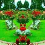 Paramvir Gill - @kildeep.gill.3jhhoehfovfdjdc_y - Instagram
