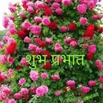 Pardeep Mann - @pardeep.mann.376258 - Instagram