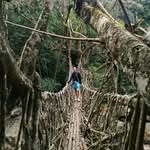 Paren Patel - @ppatel38380 - Instagram