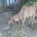 Paresh Parmar - Facebook