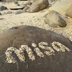 Misa Chen - @parisachen - Instagram