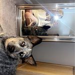Paris Baker - @paris.baker.10 - Instagram
