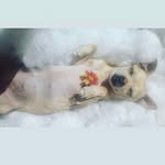 Paris Chávez - @paris.aguilera.chavez - Instagram
