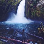 Paris Cooper - @removes8organize - Instagram