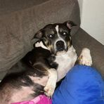 Paris Cooper - Facebook