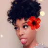 Paris Fuller - @afro_pea - TikTok