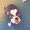 Paris Glenn191 - @i_am_on_monkey_supreme - TikTok