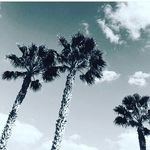 Paris Glover - @outside_photography_101 - Instagram