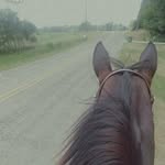 Tamra - @paris_harmony_14 - Instagram