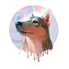 Heather + Paris  🐾 - @heatherandparis - TikTok