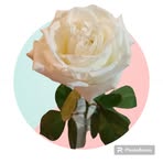 Paris McDaniel - Facebook