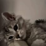 Paris Monroe - Facebook