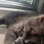 Paris Pierce - @parispierce70 - Instagram