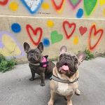 Raymond & Ginette - @raymond_ginette_paris - Instagram