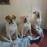 raymond paris - @paris.raymond - Instagram