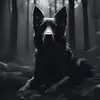 Paris - @germanshepherdparis - TikTok