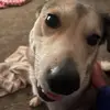 Paris Stevenson - @paris.stevenson1 - TikTok