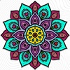 Paris Stewart  - @parisrose01242008 - TikTok