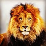 ParisWillis - @paris_willis - Instagram