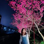 Paris Wu - @pariswupariswu - Instagram